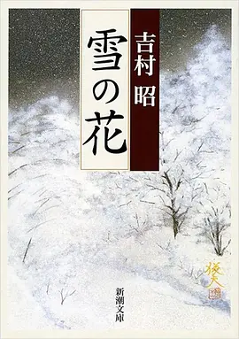 雪之花 (2025)